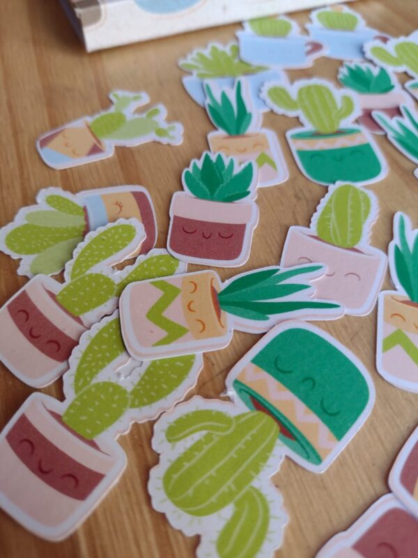 Cajita de Stickers - CACTUS CACTUCITOS