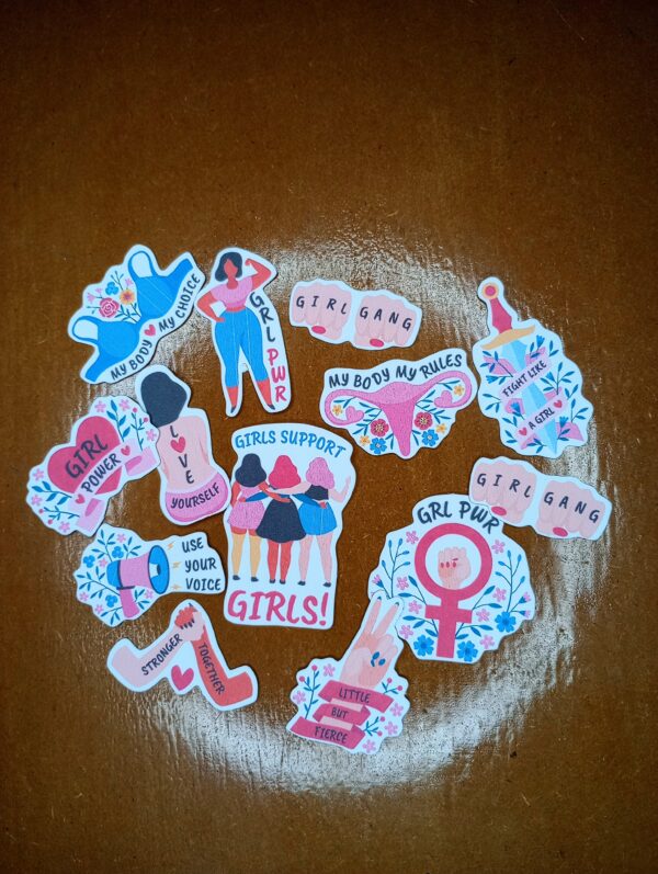 Cajita de Stickers - FEMINISMO